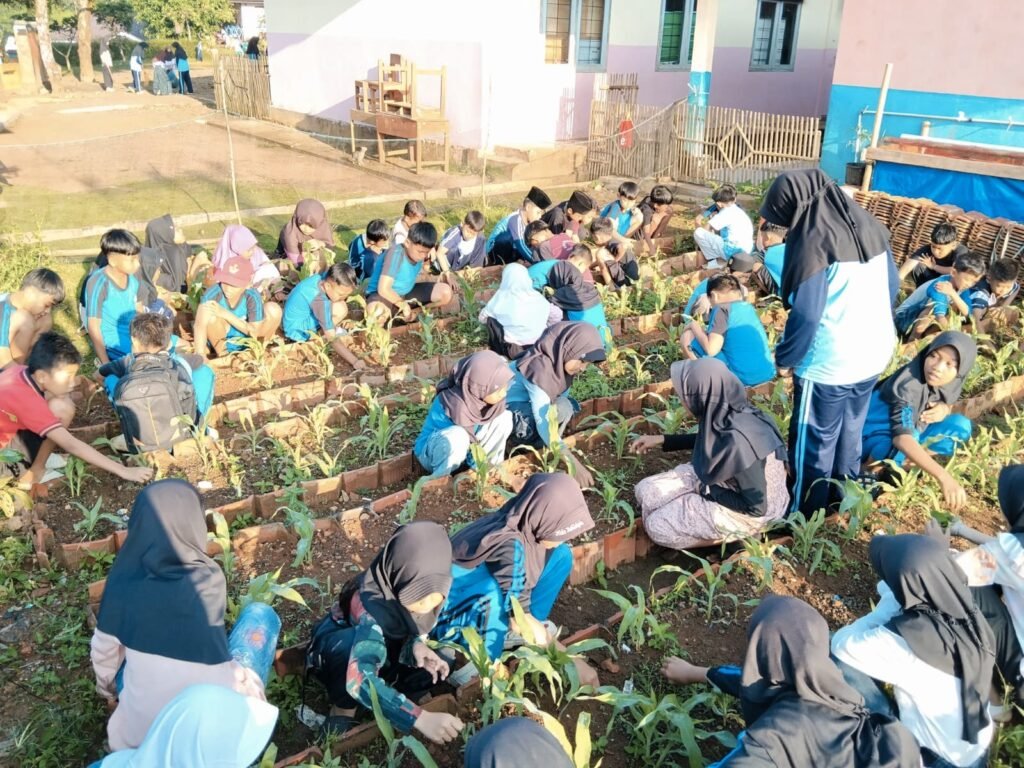 Siswa SDN 1 Kalijati Lanjutkan Pembelajaran Kokurikuler dengan Mengamati Pertumbuhan dan Merawat Tanaman Jagung